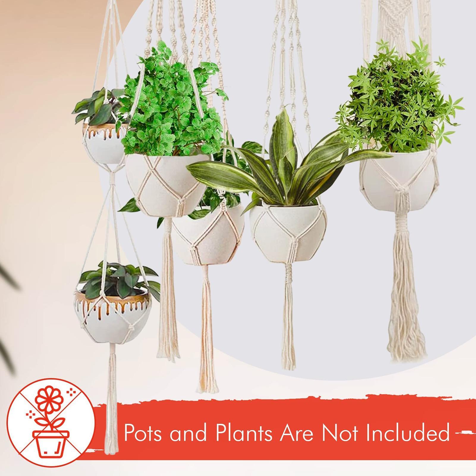 Macrame Plant Hanger 6 Pieces  - đánh giá và giá Indoor Plants