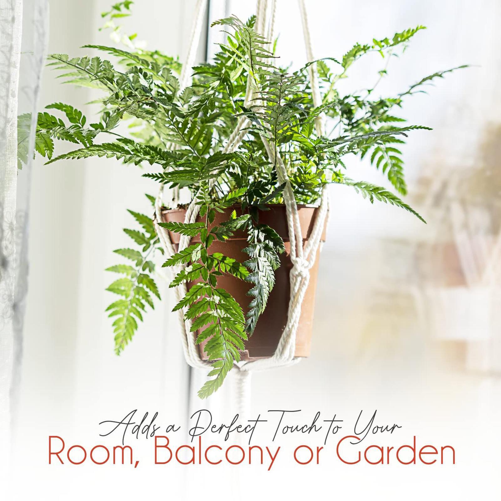 Macrame Plant Hanger 6 Pieces  - đánh giá và giá Indoor Plants