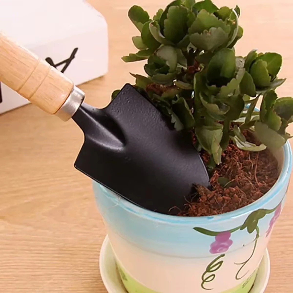 3Pcs/Set Mini Garden Tool Set  - đánh giá và giá Terracotta Pot