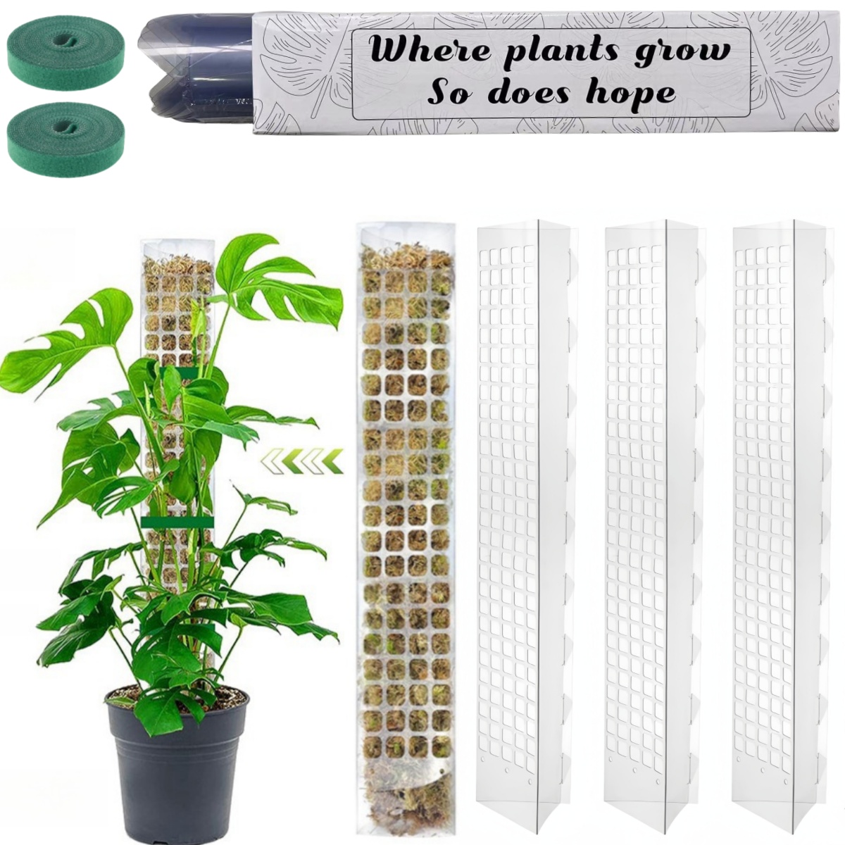 Moss Pole Plastic Plant Stand  - đánh giá và giá Plant Support Stake