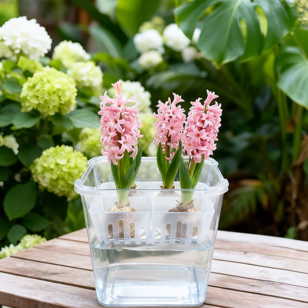 Hydroponic Vase For Tulip Lily - đánh giá và giá Indoor Plants