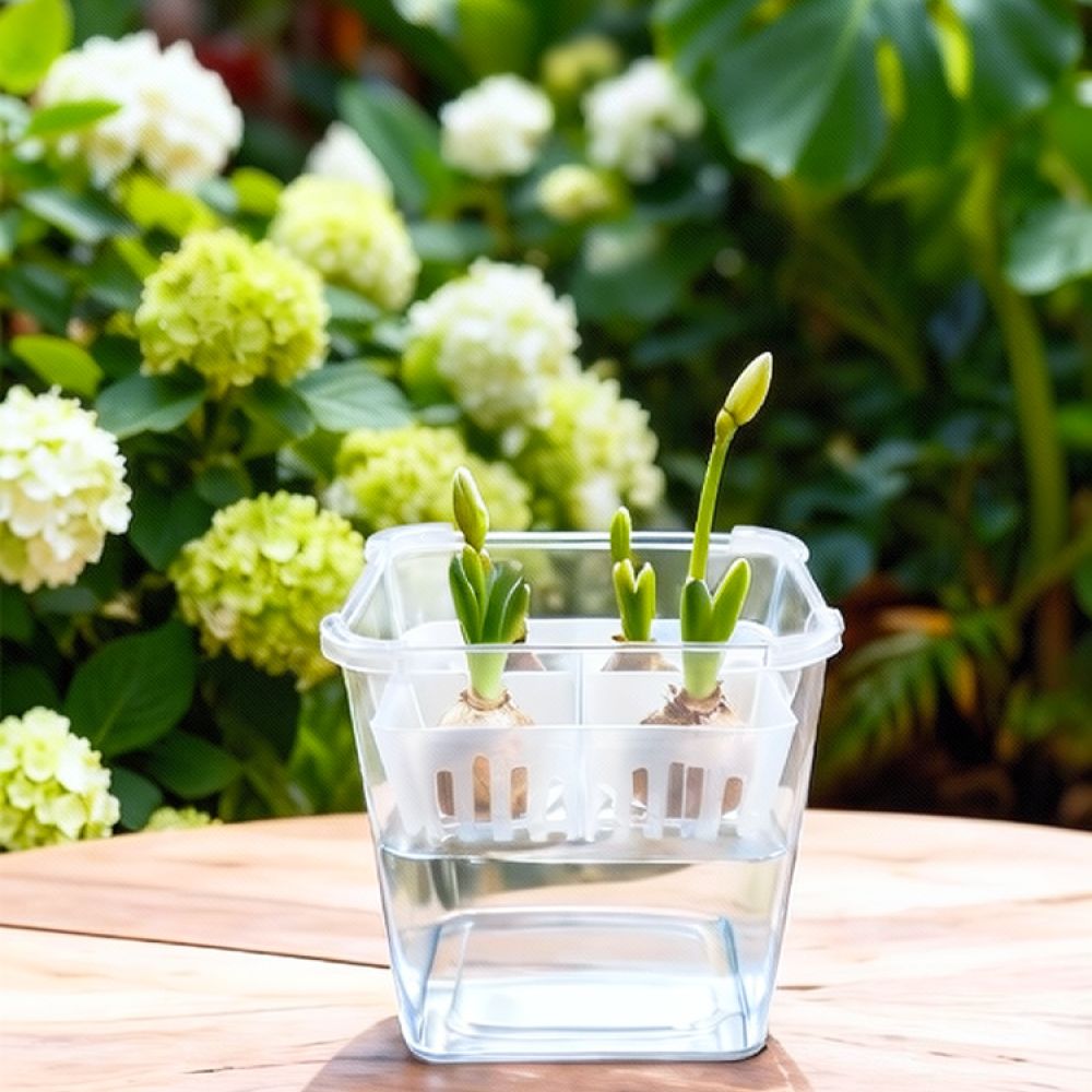 Hydroponic Vase For Tulip Lily - đánh giá và giá Indoor Plants
