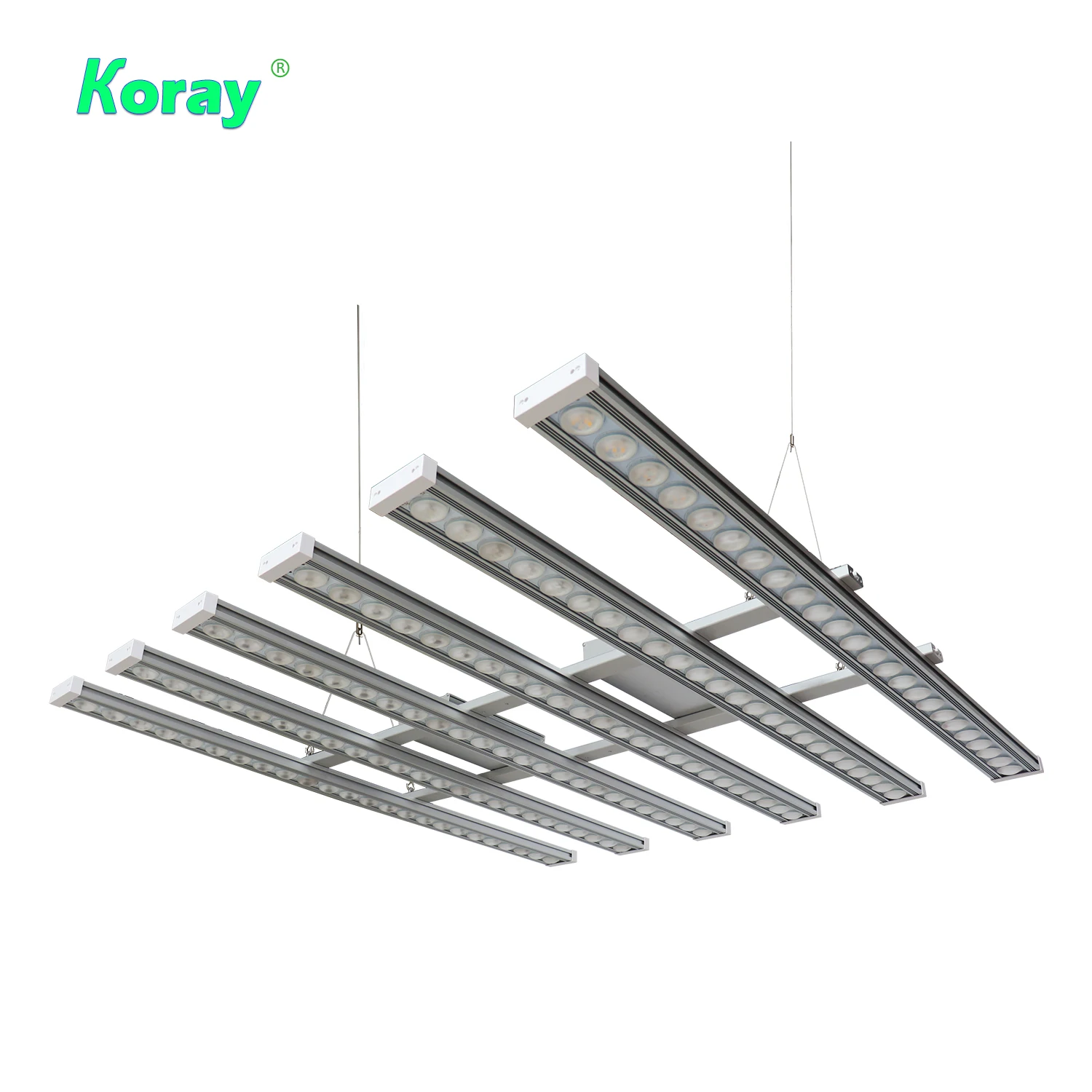 Koray 900W Indoor full spectru - đánh giá và giá Indoor Plants
