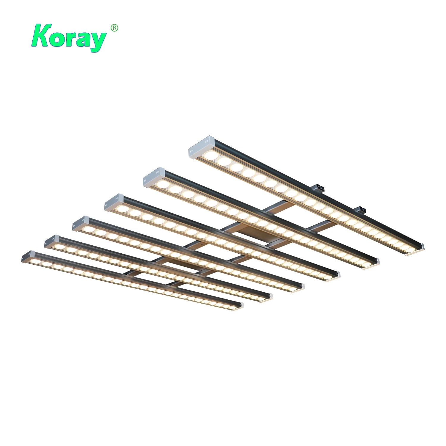 Koray 900W Indoor full spectru - đánh giá và giá Indoor Plants