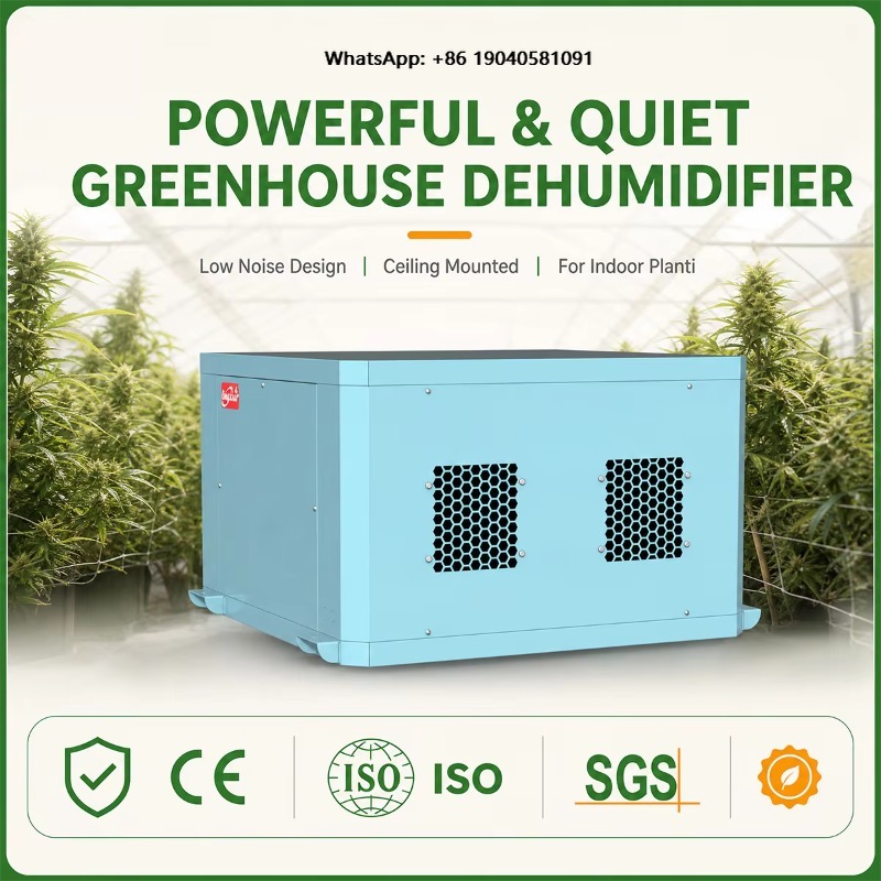 Powerful Greenhouse Dehumidifi - đánh giá và giá Indoor Plants