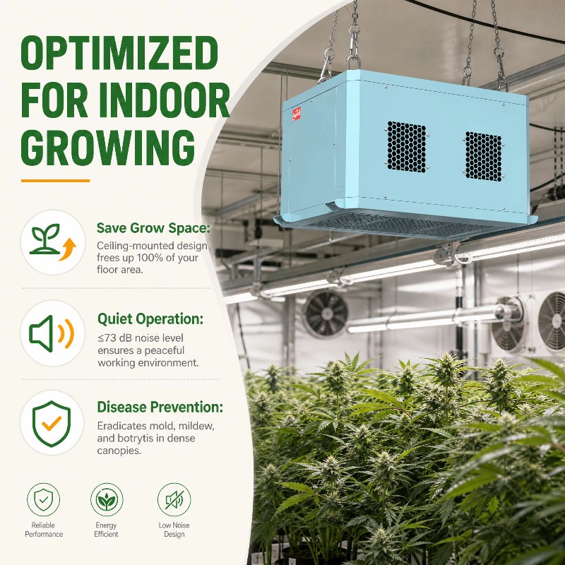 Powerful Greenhouse Dehumidifi - đánh giá và giá Indoor Plants