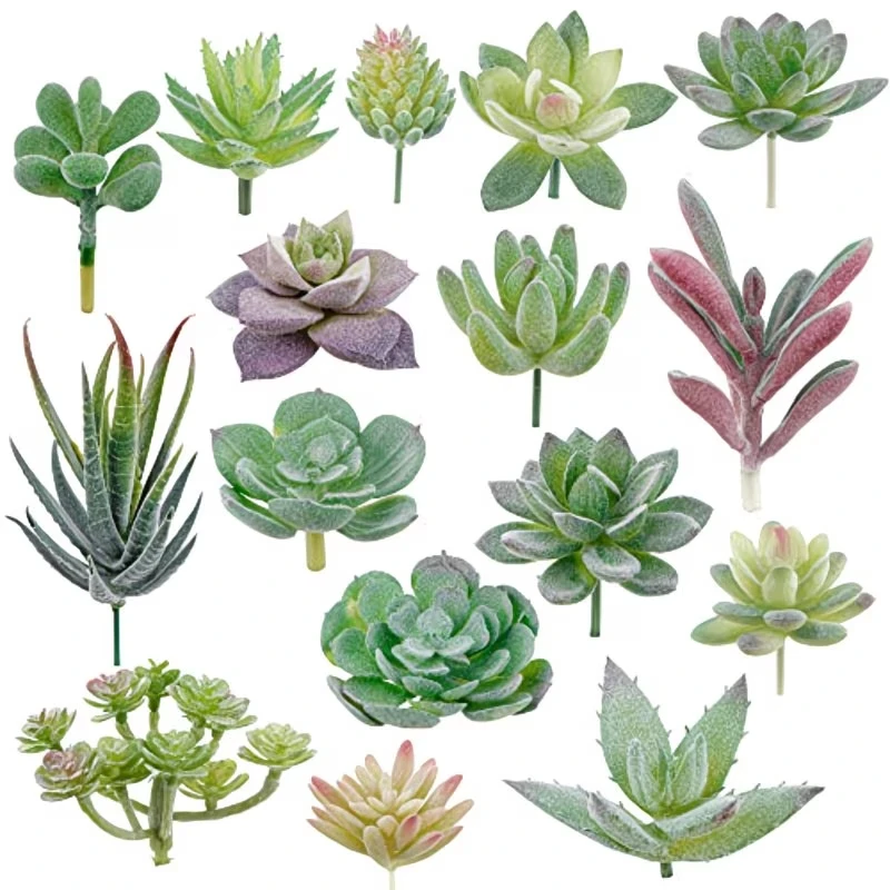 10/20Pcs PVC Succulents Plants - đánh giá và giá Snake Plant
